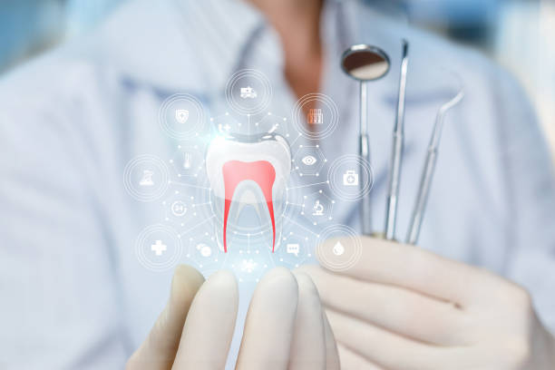Best Traditional Braces  in Jasper, TX